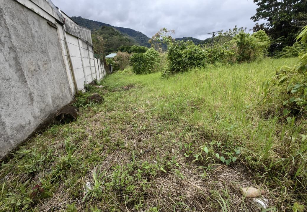 WhatsApp Image 2026-04-22 at 09.42.34