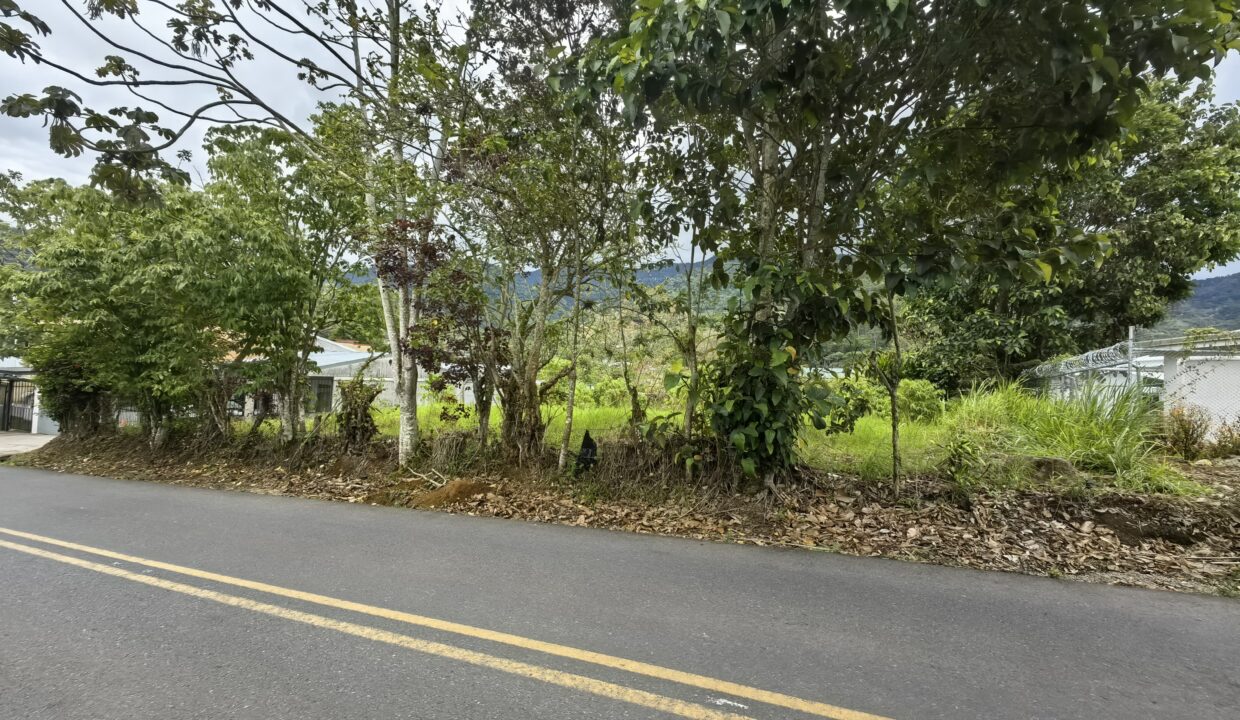 WhatsApp Image 2026-04-22 at 10.00.23