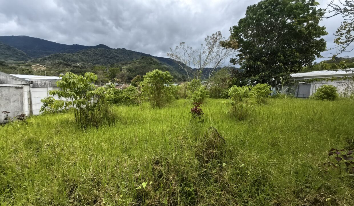 WhatsApp Image 2026-04-22 at 10.00.23 (3)