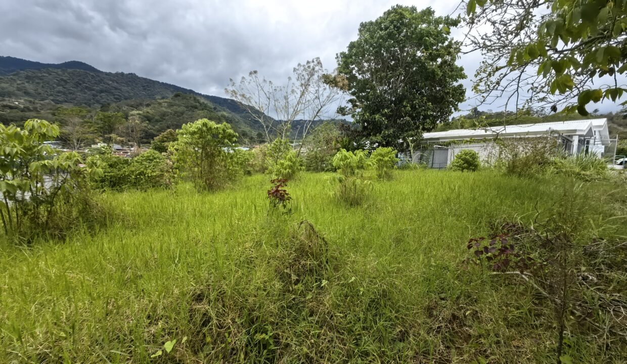 WhatsApp Image 2026-04-22 at 10.00.23 (4)