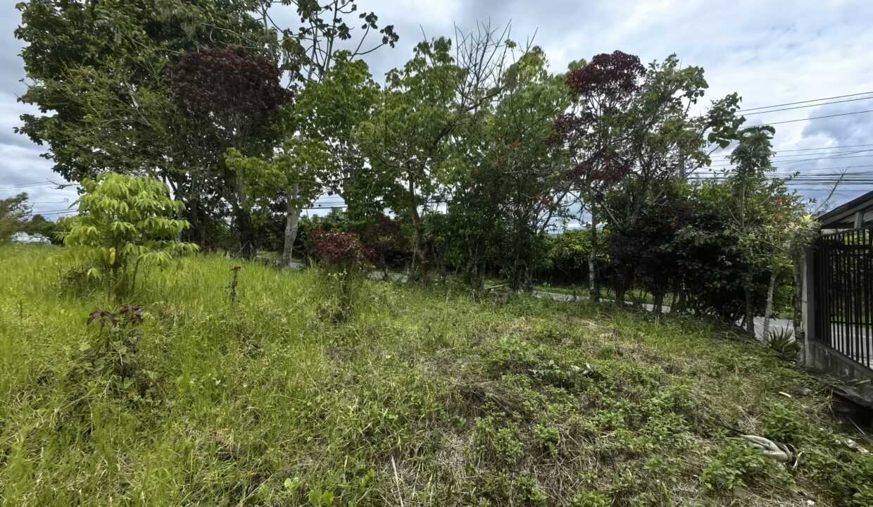 WhatsApp Image 2026-04-22 at 10.00.24