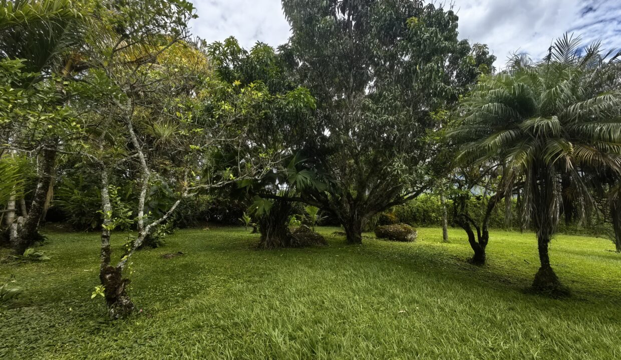 WhatsApp Image 2026-04-22 at 10.00.25 (3)