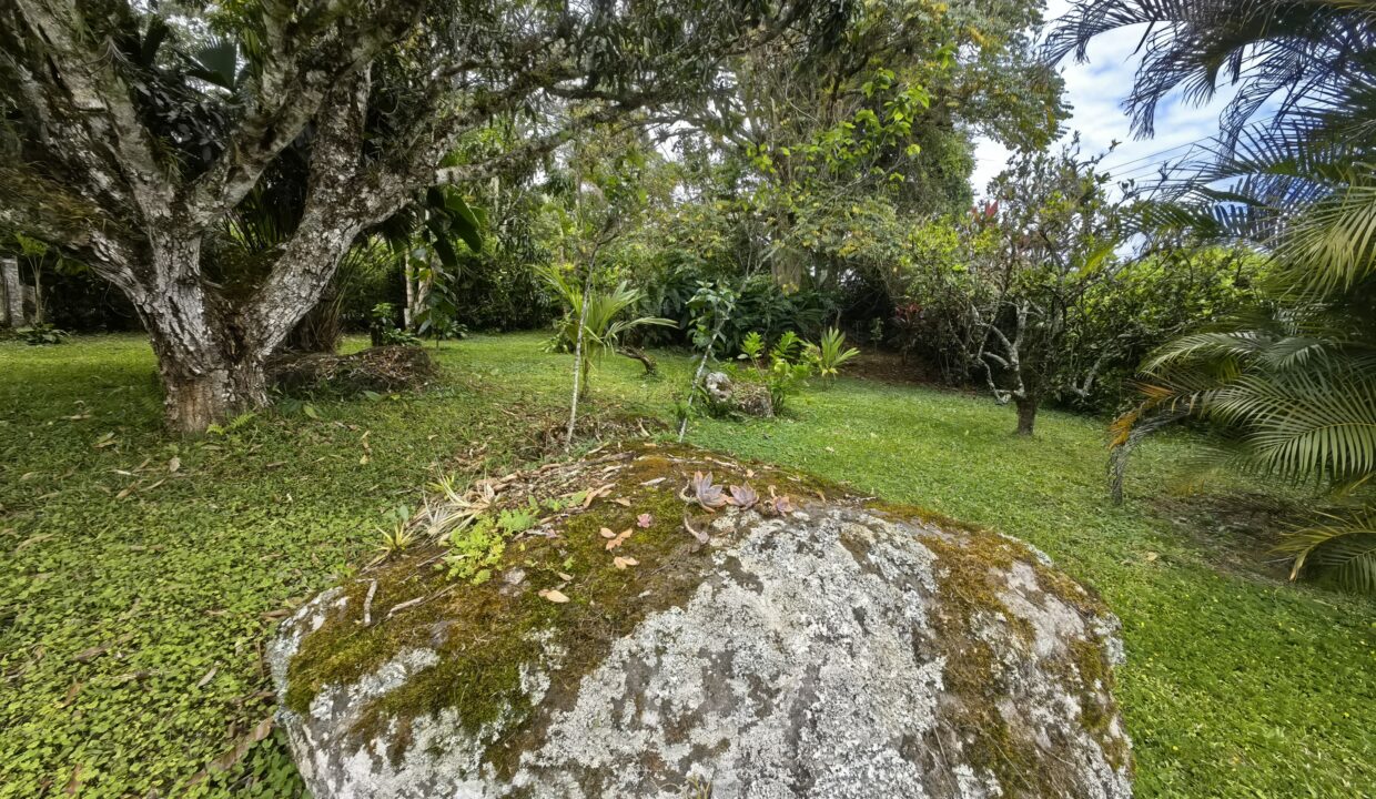 WhatsApp Image 2026-04-22 at 10.00.26 (1)