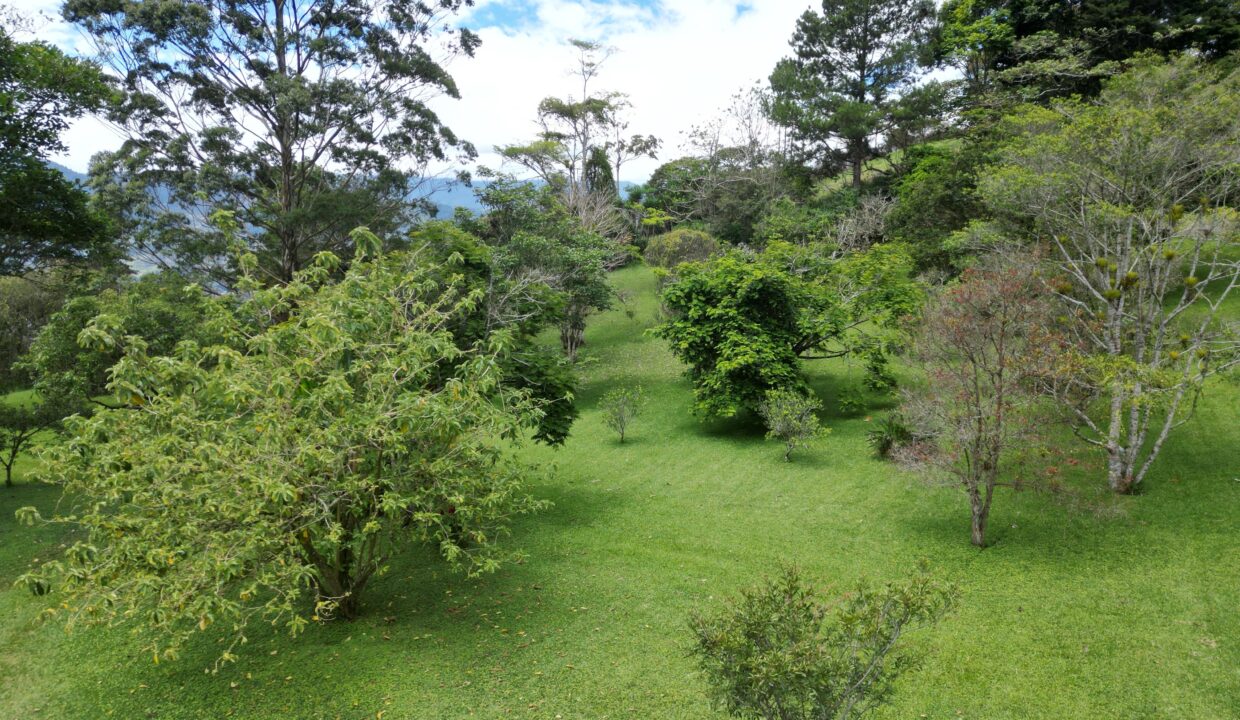 WhatsApp Image 2026-04-24 at 12.46.25 (6)