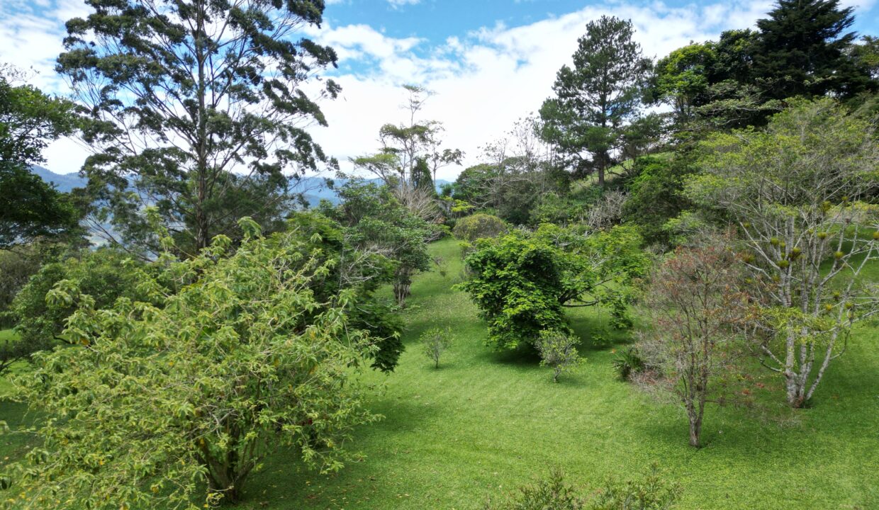 WhatsApp Image 2026-04-24 at 12.46.26